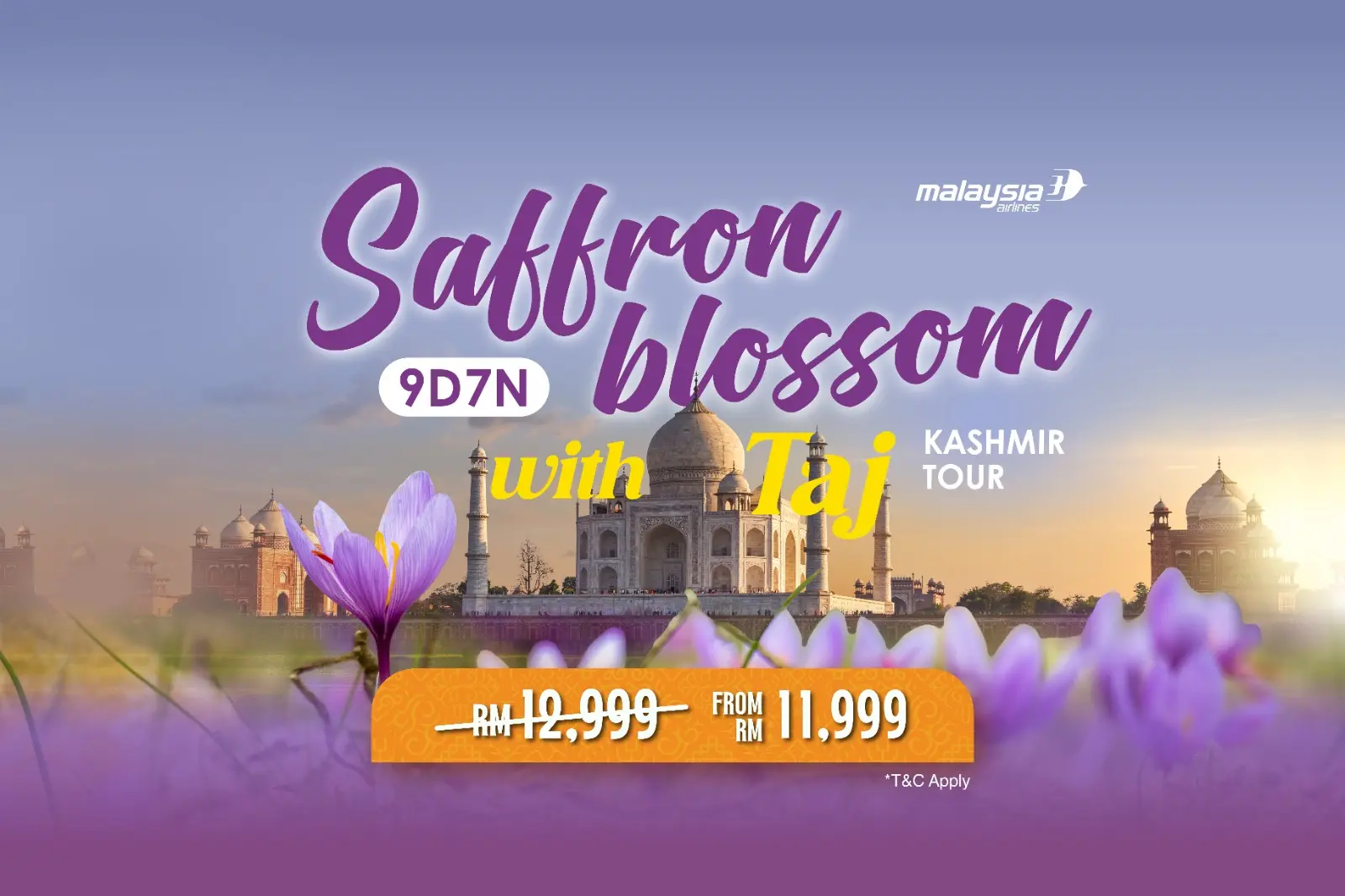 9D Saffron Blossom with Taj Tour